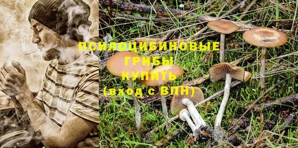 тгк Медногорск