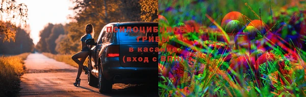 бутират Медвежьегорск
