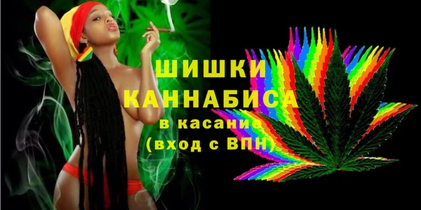тгк Медногорск