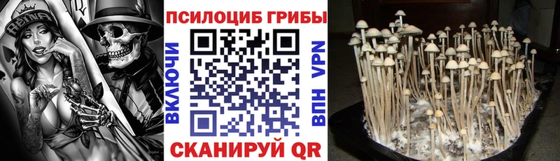 Галлюциногенные грибы прущие грибы Алапаевск