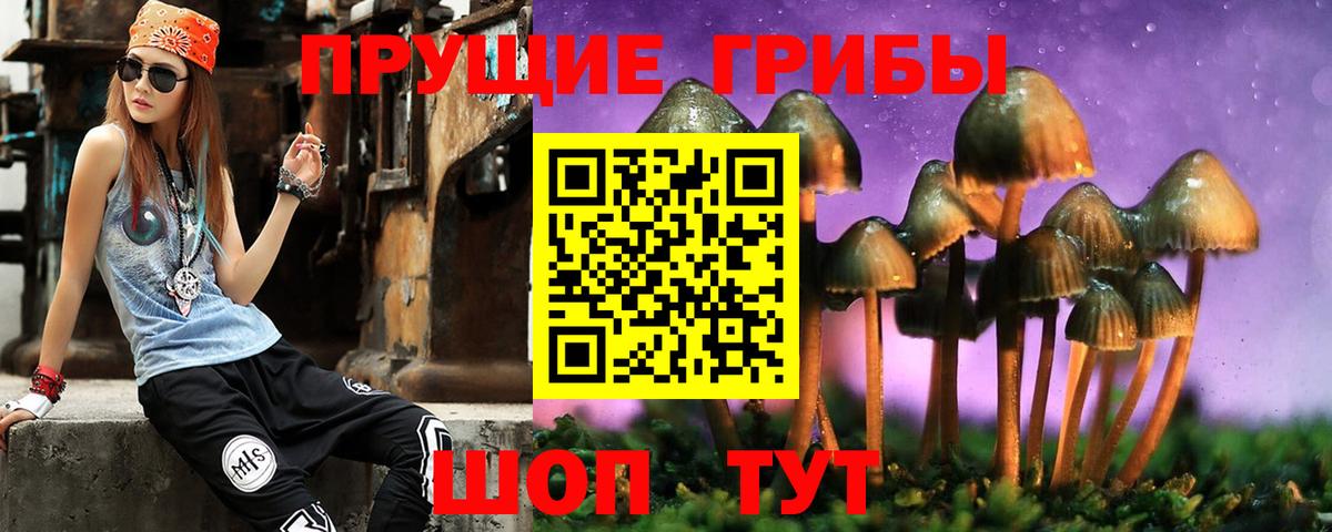 Алапаевск  Псилоцибиновые грибы ЛСД  Вход с VPN 